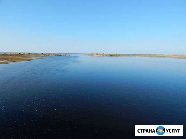 Бухгалтерские услуги (фриланс) Архангельск - изображение 1