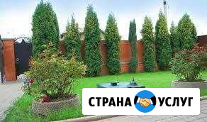 Автономная канализация (лос),водопровод Лодейное Поле - изображение 1