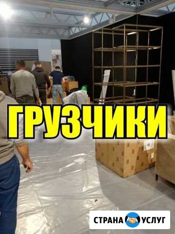 Грузчики Мытищи - изображение 1