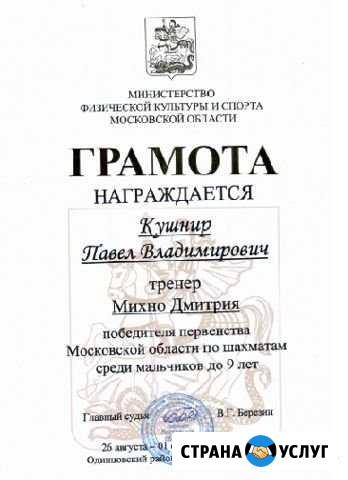 Шахматы в скайпе Жуковский - изображение 1