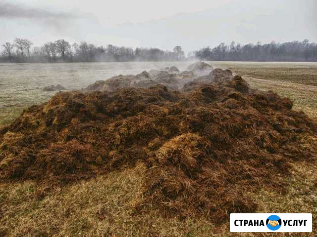 Навоз, Земля, Перегной, Торф, Опилки, Песок, Щебен Тверь - изображение 1