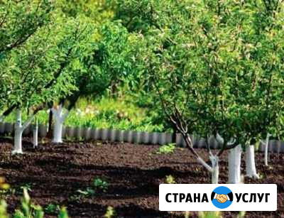 Приведём в порядок сад и огород Красноярск - изображение 1