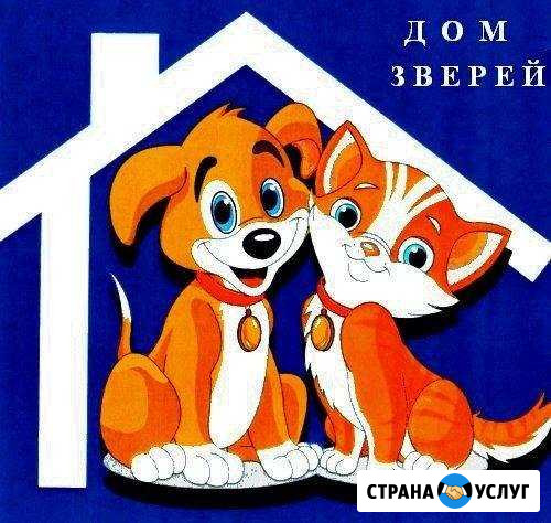 Вет.помощь 24/7, гостиница для животных, стрижка Норильск - изображение 1