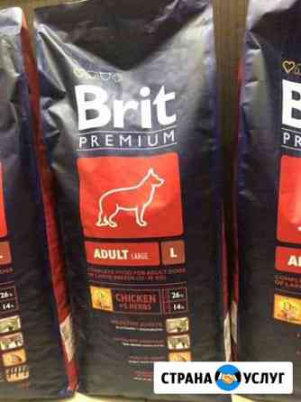 Корм для собак Brit Premium курица 15кг Лыткарино