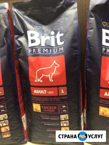 Корм для собак Brit Premium курица 15кг Лыткарино - изображение 1