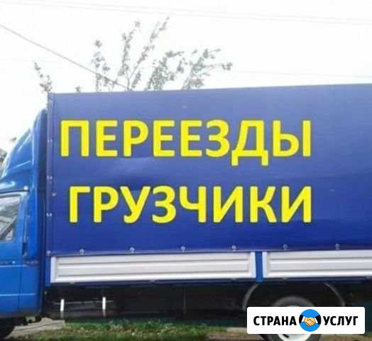 Грузчики,переезды,сборка мебели Махачкала - изображение 1