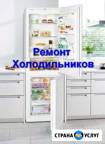 Ремонт Холодильников Сыктывкар - изображение 1