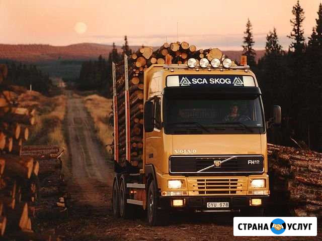 Грузоперевозки, услуги шоссейного лесовоза Шадринск - изображение 1