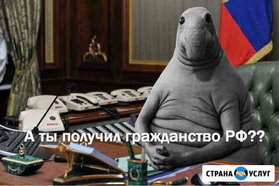 Получить рвп, внж, Гражданство РФ Москва