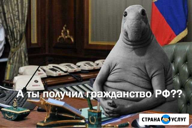 Получить рвп, внж, Гражданство РФ Москва - изображение 1