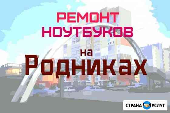 Ремонт ноутбуков на Родниках Новосибирск