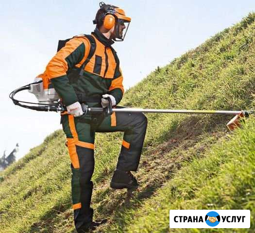Покос травы/спил деревьев/уборка участков Екатеринбург - изображение 1