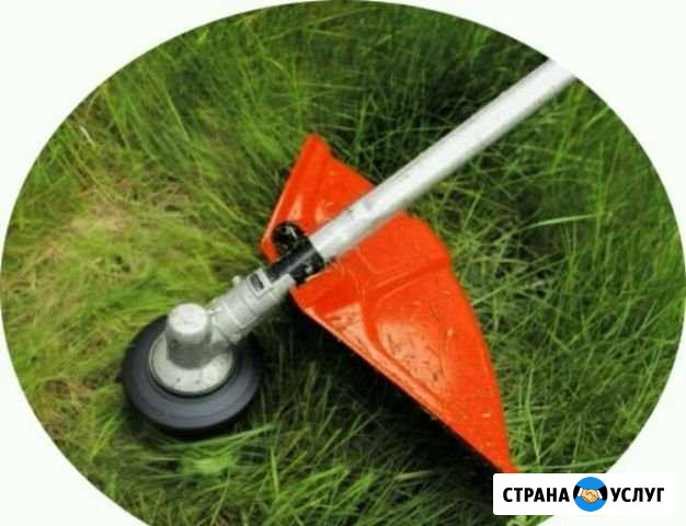 Скошу траву Вязники - изображение 1