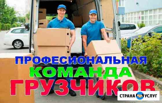 Грузчики Тула