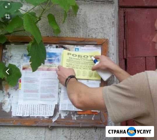 Расклею объявления с фотоотчетом Чебоксары - изображение 1