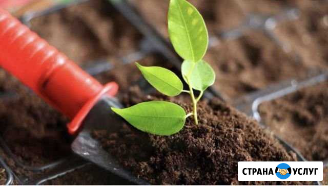 Садовая земля для рассады и огорода с доставкой Тверь - изображение 1