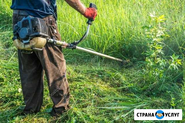 Покос травы Владикавказ - изображение 1