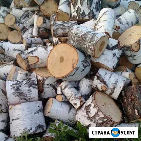 Срубы, дрова Куеда - изображение 1