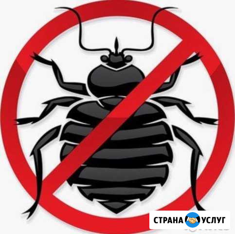 Уничтожение насекомых, клещей и плесени Железногорск - изображение 1