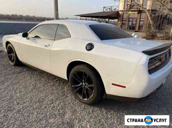 Прокат авто с водителем Астрахань