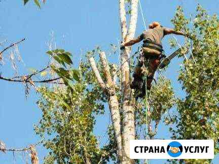 Спецтехника, с пил деревьев/вывоз/слом/уборка Шебекино