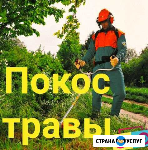 Спиливание деревьев, Покос травы Рамонь - изображение 1