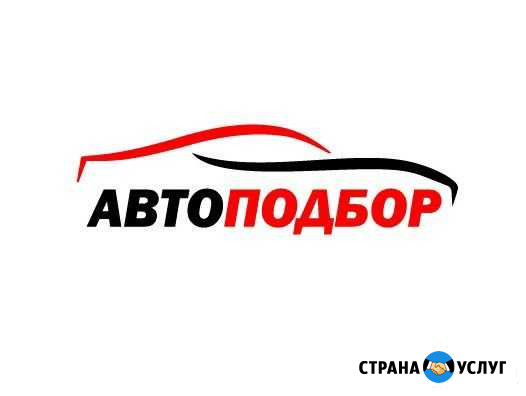 Автоподбор / Проверка-осмотр авто перед покупкой Вологда - изображение 1