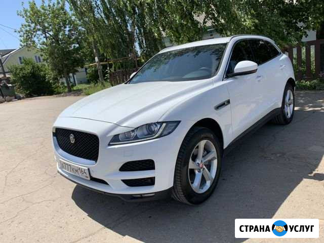 Аренда Авто с водителем Энгельс - изображение 1