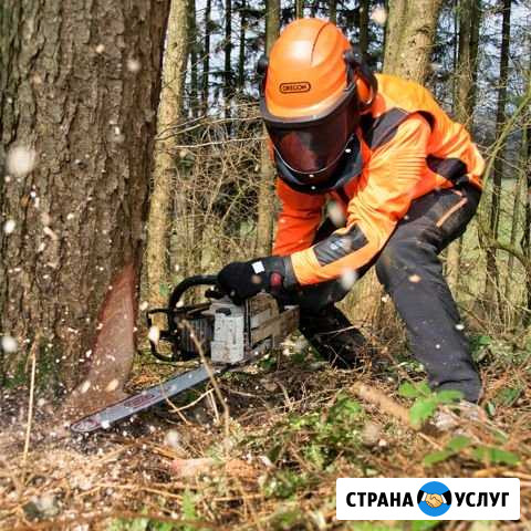 Спил деревьев любой сложности с использованием авт Шебекино - изображение 1