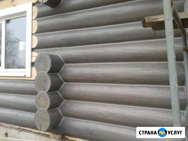 Срубы из вологодского зимнего леса Вологда - изображение 1