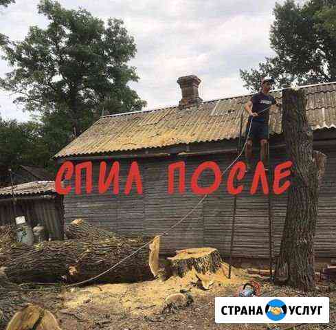 Спил деревьев/уборка участка/Слом домов Ростов-на-Дону