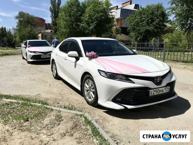 Свадебный кортеж Тойота Камри Аренда Микроавтобуса Волгоград - изображение 1
