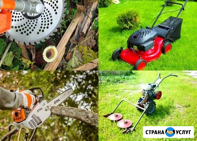 Покос травы, газона, кустарника. Спил дерева,веток Киров - изображение 1