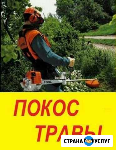 Покос-травы-спил деревьев Калач - изображение 1