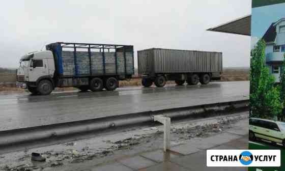 Скотовоз Хасавюрт