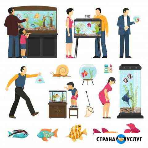Аквариумный сервис Краснодар