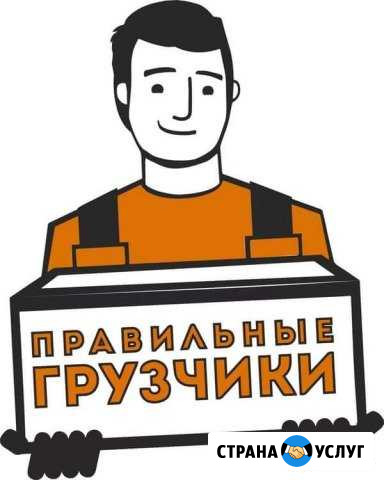 Грузчики Кострома - изображение 1