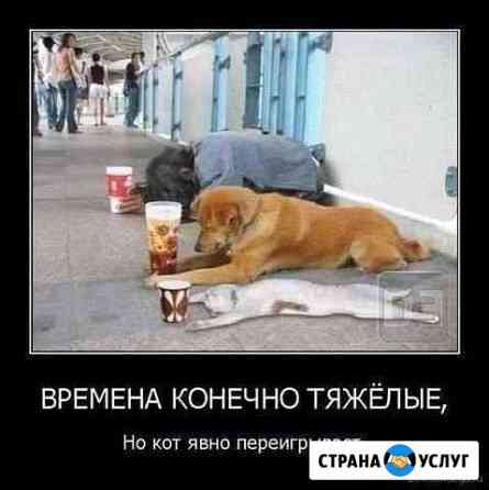 Частные грузчики по Самаре Самара