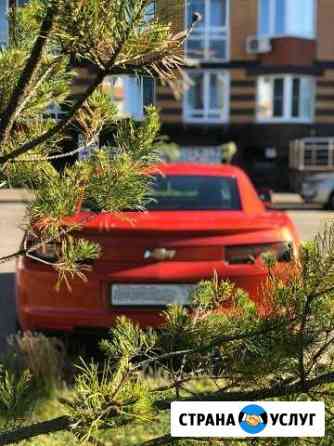 Прокат/аренда Chevrolet Camaro V Шевроле Камаро Москва