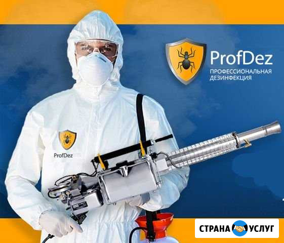 Обработка от насекомых, грызунов, вирусов, запахов Похвистнево - изображение 1
