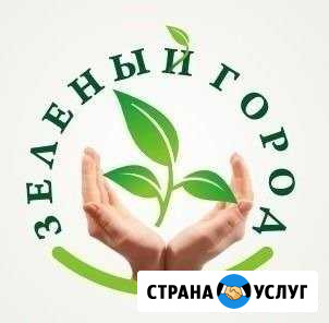 Озеленение Ландшафтный дизайн Уход Сарапул - изображение 1