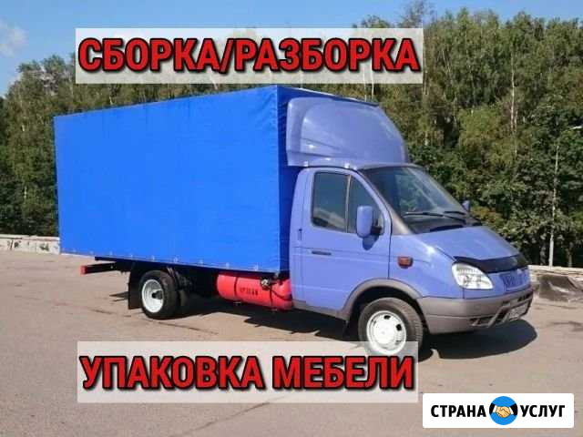 Грузоперевозки/Газель Волгоград - изображение 1