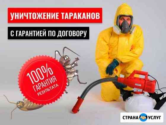 Уничтожение тараканов Тольятти