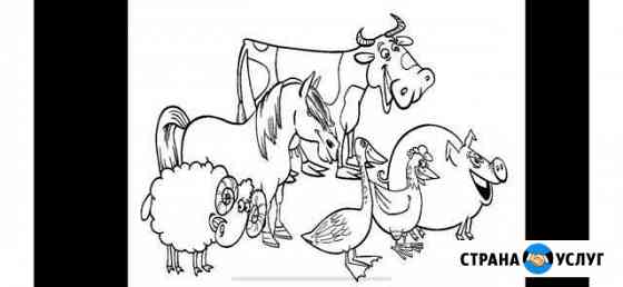 Забой скота Воронеж