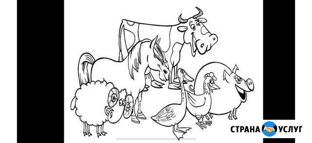 Забой скота Воронеж - изображение 1