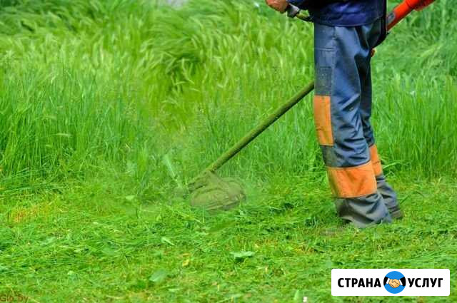 Покос травы Брюховецкая - изображение 1