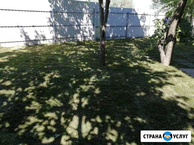 Ландшафтный дизайн вашего участка Новочебоксарск - изображение 1