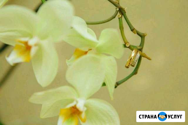 Фотограф и видеооператор вашего мероприятия Чебоксары - изображение 1