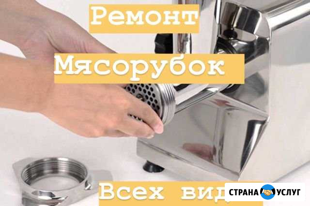Ремонт мясорубок Саратов - изображение 1
