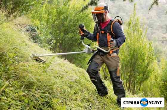Покос и уборка травы Вологда